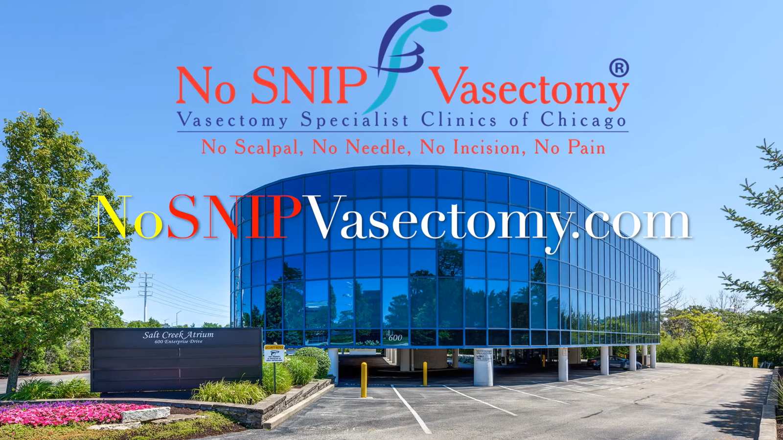 No SNIP Vasectomy Intro